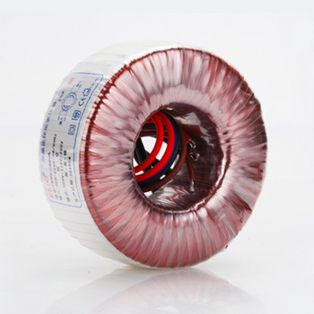 80W Toroidal and Stabilizer Transformer from 220V to 110V Output Voltage for Precision Instruments